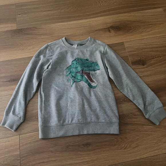 Carters Kid Boys Embroidered Dinosaur T Rex Gray Crewneck Sweatshirt Size 10 - Picture 1 of 4
